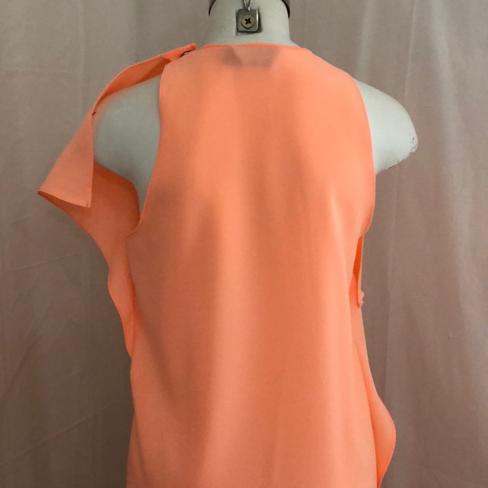 Blaque Label Sheer Ruffle Dress - Picture 5 of 8